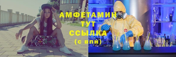ПСИЛОЦИБИНОВЫЕ ГРИБЫ Алексин
