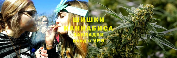 ПСИЛОЦИБИНОВЫЕ ГРИБЫ Алексин